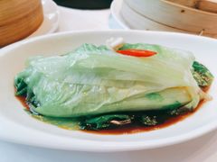 白灼靓生菜-御花园酒店(希尔顿店)