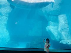 -海合安武汉极地海洋公园