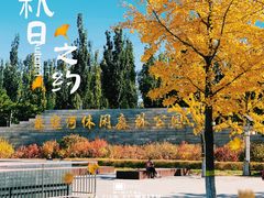 -永定河休闲森林公园