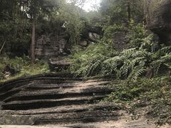 -梭布垭石林景区