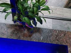 -蕃茄述·好汤自然来(江汉路店)