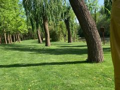 -思念果岭悦温泉