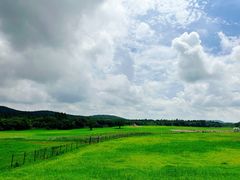 -济州森林小火车生态公园