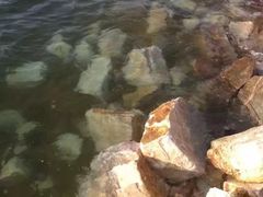 -仙浴湾广场