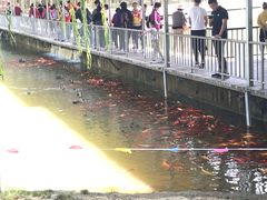 景点-泰安地下龙宫景区