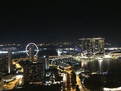 -新加坡瑞士史丹福酒店