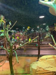 -酷嗒动物文化乐园(cutezoo西溪乐天城店)