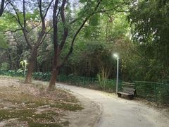 -澹台湖公园