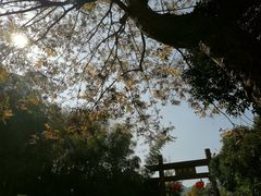 -国生茶庄·地道农家菜团建活动