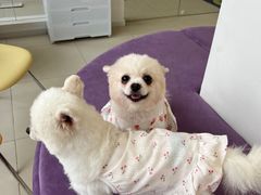 -怪兽屋·羊驼·猫咖·狗咖(俊华广场店)