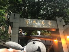 -香港大学