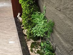 -俏东方·海味水饺·青岛菜(崂山店)
