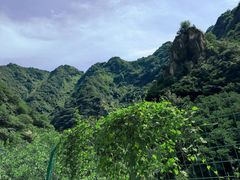 -沣峪口
