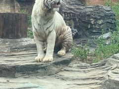 -杭州野生动物世界