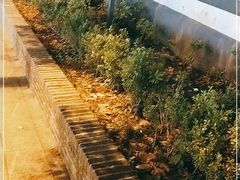 -湖南省立第一师范学校旧址