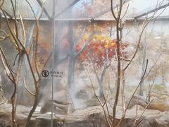 -泉城欧乐堡海洋极地世界