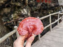 -石台牯牛降景区
