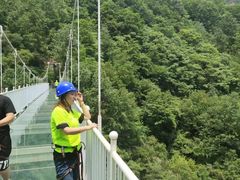 -牛背梁国家森林公园