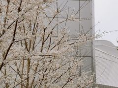 -包玉刚游泳场(黄龙恒励大厦店)