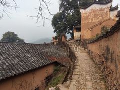 -杨家堂村