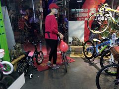 -GIANT捷安特自行车专卖店(金桥台儿庄路店)