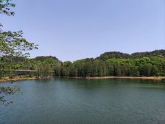 -青龙山国家森林公园