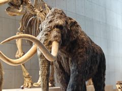 -Behring World of Animals(上海自然博物馆店)