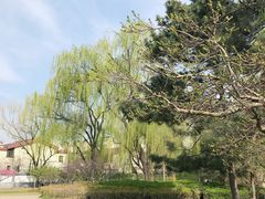 -玲珑塔公园