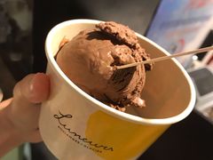 黑巧克力冰淇淋-LUNEURS月乐诗 冰淇淋咖啡(环贸店)