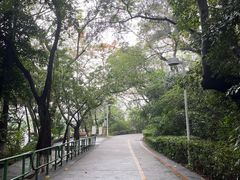 -中山公园(石岐街道)
