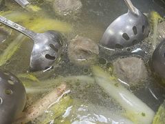 -濠轩阁特色生蚝火锅(水湾路店)