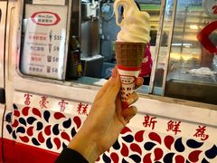 -富豪雪糕车流动点(尖沙咀店)