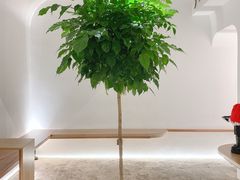 -光作面包Voila Lumiere(中山店)