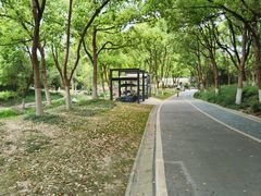 -新洲生态园