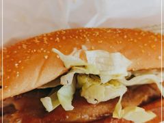 -麦当劳(塔园路店)