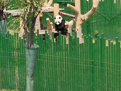 -沈阳森林动物园