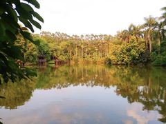 -揭东万竹园旅游景区