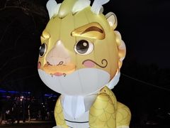 -香蜜公园