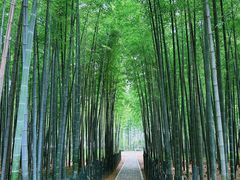 -树山生态村