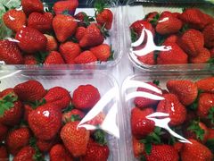 -比格比萨自助(花园路店)