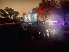 -枫花园汽车电影院(朝阳公园店)