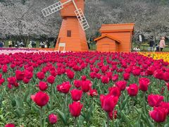 -苏州上方山国家森林公园