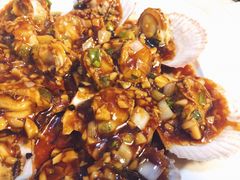 蚝油扇贝-华春餐馆(鱼山路店)