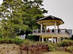 -南沙蒲洲花园