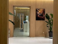 -XPEL旗舰店·汽车贴膜·隐形车衣·改色贴膜