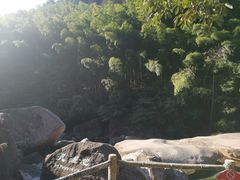 -黄山翡翠谷景区