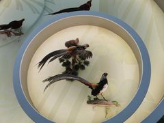 -陕西自然博物馆