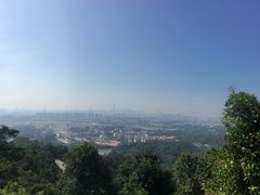-火炉山森林公园