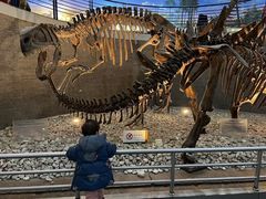 -国家自然博物馆