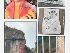 -广州动物园